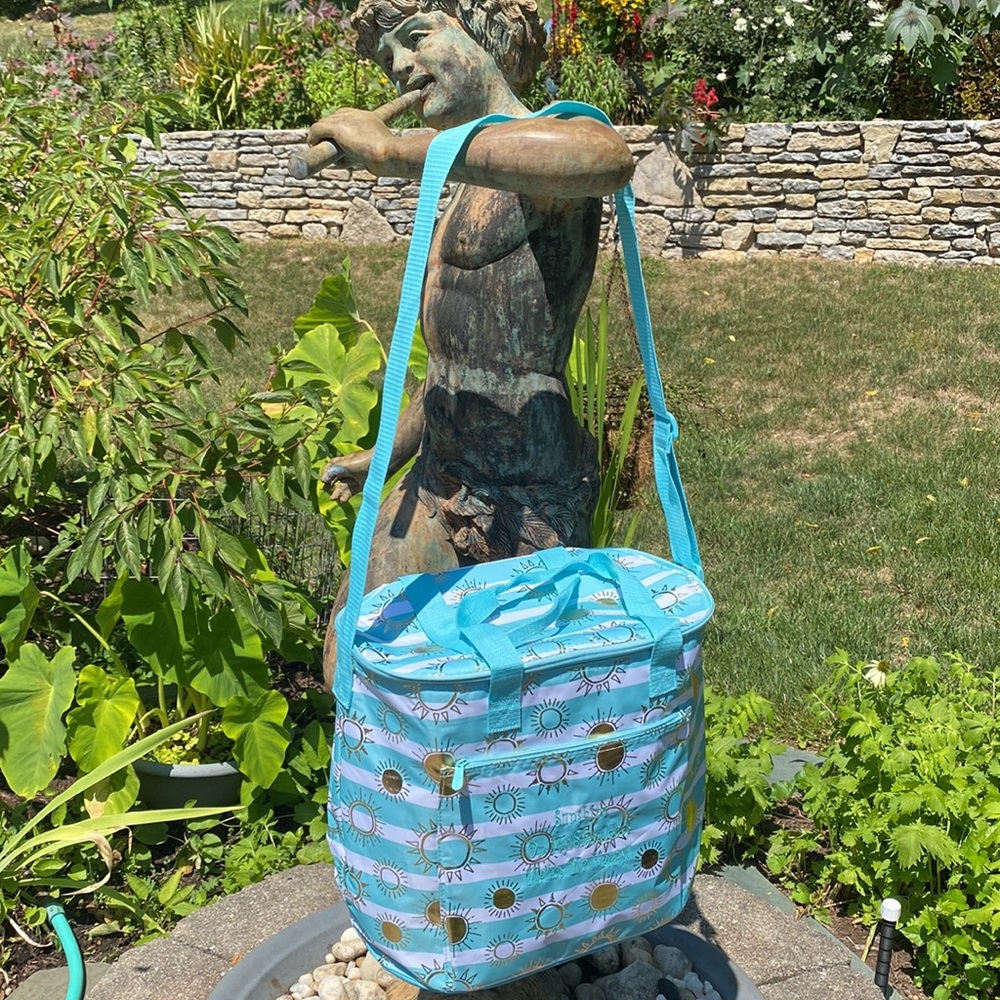 Thirty-one Round About Cooler Tote, Rays for Days